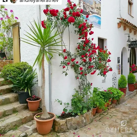 Appartement Vidabrava, Tossa Medievo, A 150 M De La Playa